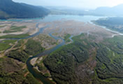 Harrison Lake Scenic Tour